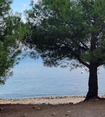 Sea Spirit *